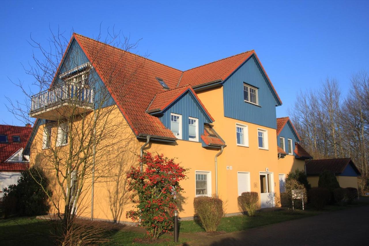 Апартаменты Haus Sonne Whg_3 Цингст Экстерьер фото
